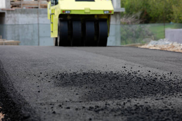 Best Professional Driveway Pavers  in Holiday Shores, IL